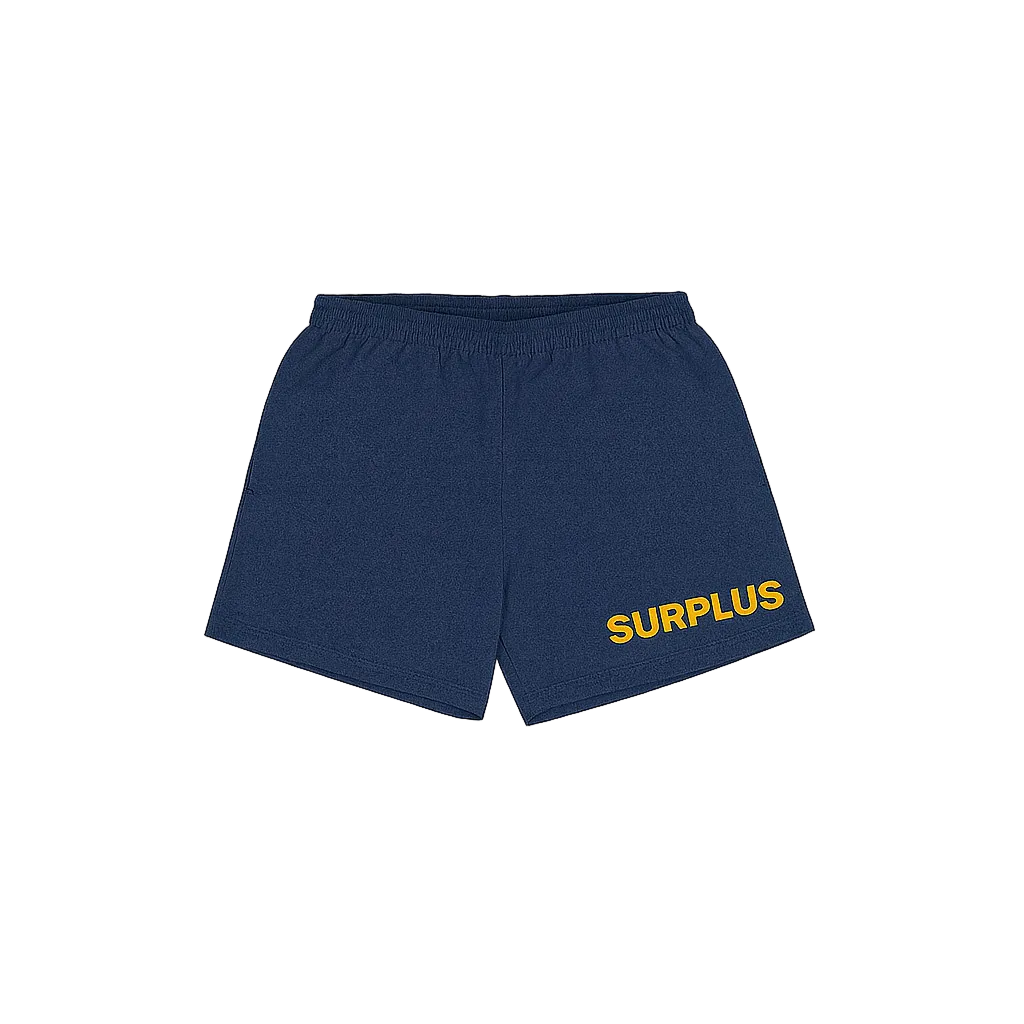 surplus military trunk/ navy/gold