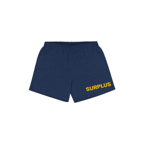 surplus military trunk/ navy/gold