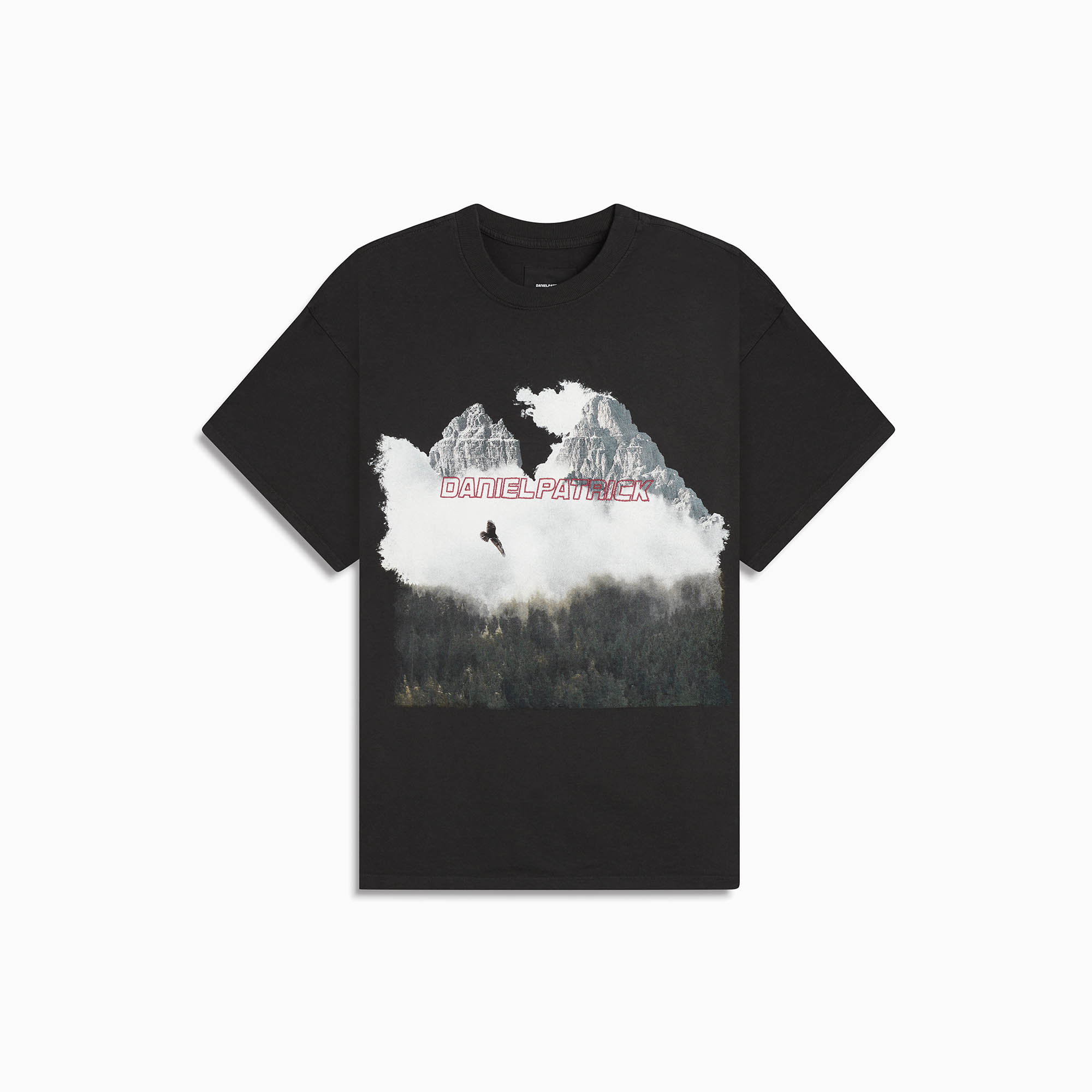 Lone Eagle Tee in Washed Black